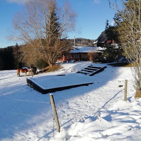 Penzion Farma U Mauritzu Stožec Dış mekan fotoğraf
